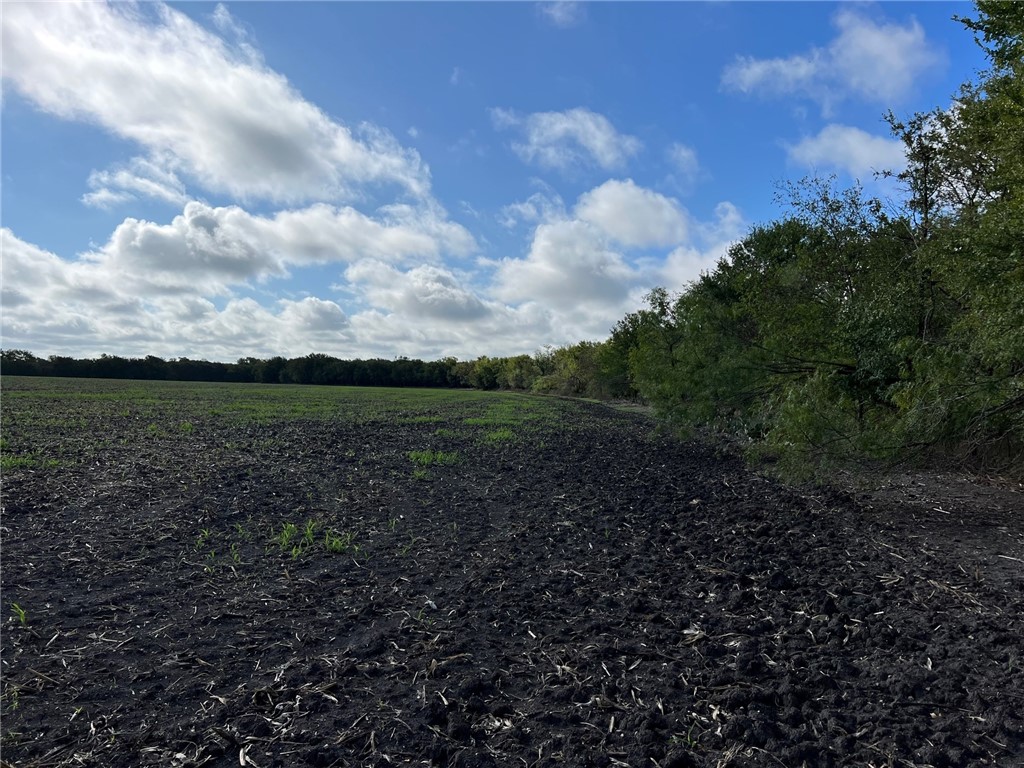 TBD Cr 117 Road, Rogers, Texas image 9