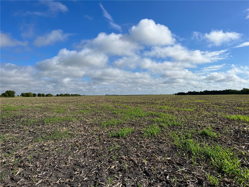 TBD Cr 117 Road, Rogers, Texas image 7