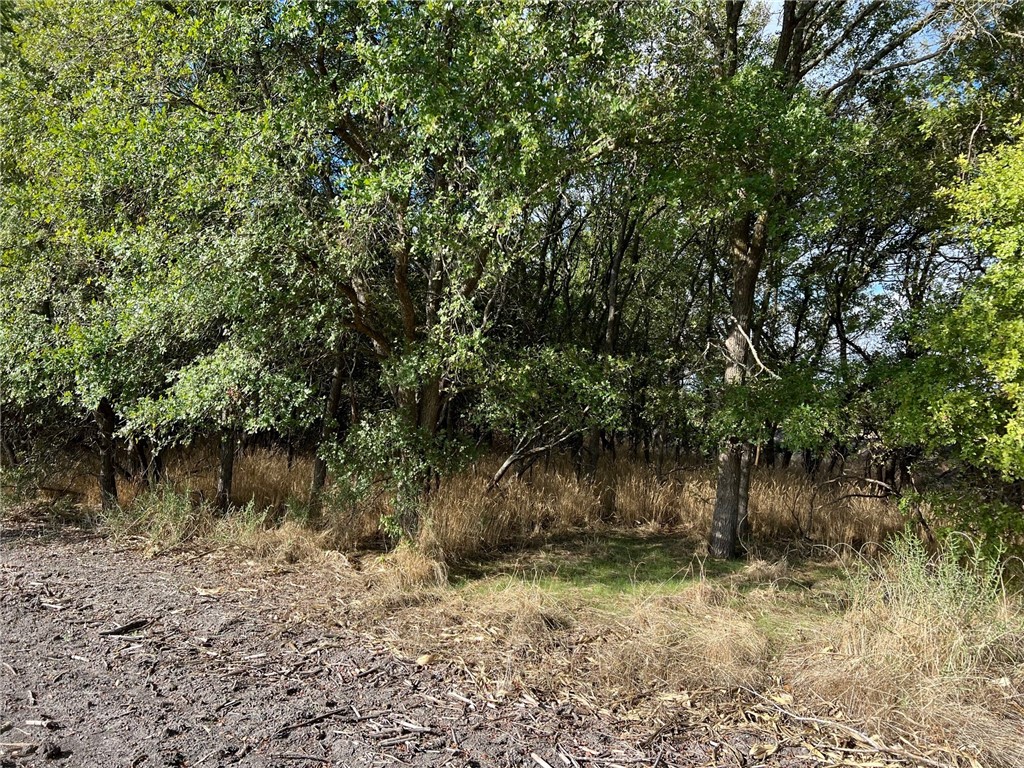 TBD Cr 117 Road, Rogers, Texas image 8