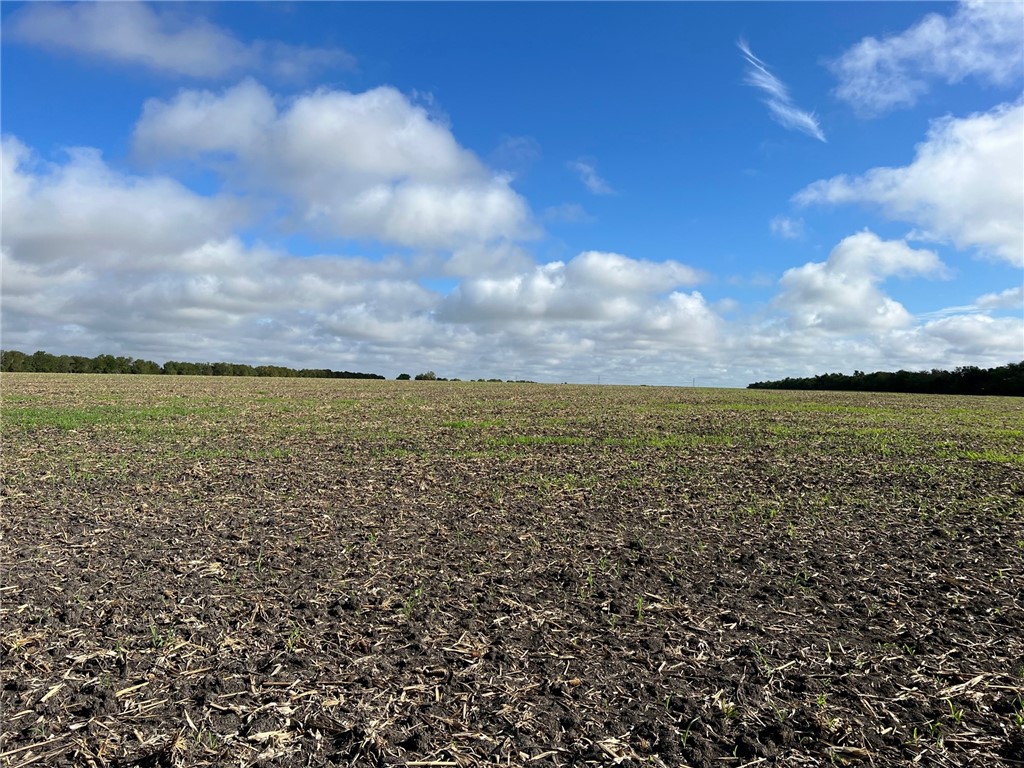 TBD Cr 117 Road, Rogers, Texas image 11