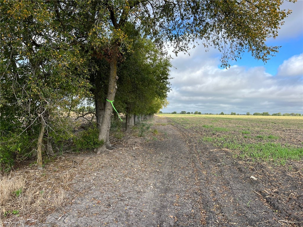 TBD Cr 117 Road, Rogers, Texas image 2