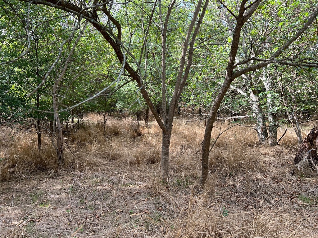 TBD Cr 117 Road, Rogers, Texas image 19