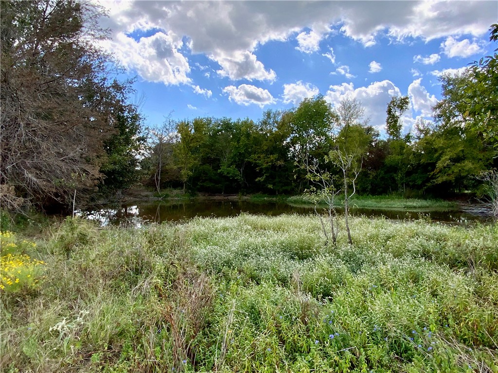 TBD Hwy 164, Groesbeck, Texas image 22