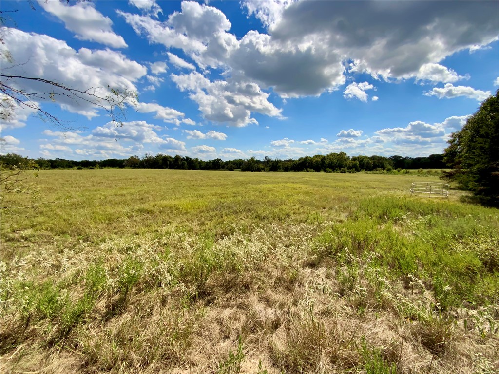 TBD Hwy 164, Groesbeck, Texas image 29