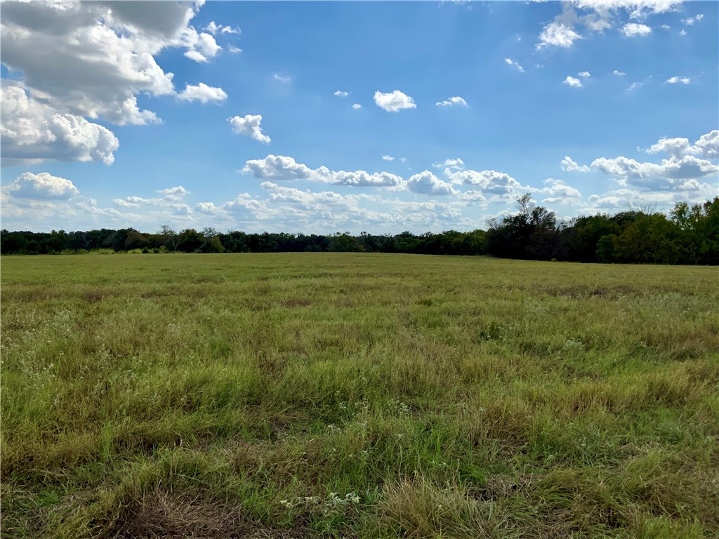 TBD Hwy 164, Groesbeck, Texas image 8