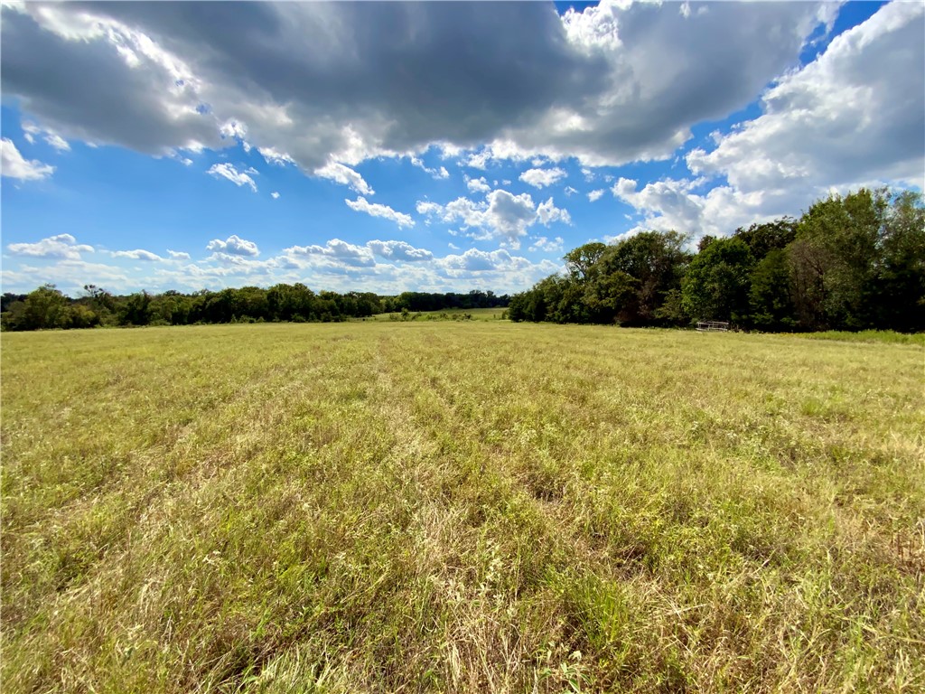 TBD Hwy 164, Groesbeck, Texas image 32