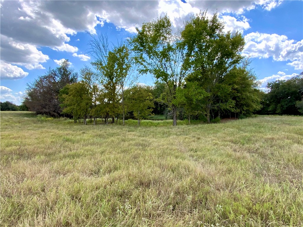 TBD Hwy 164, Groesbeck, Texas image 4