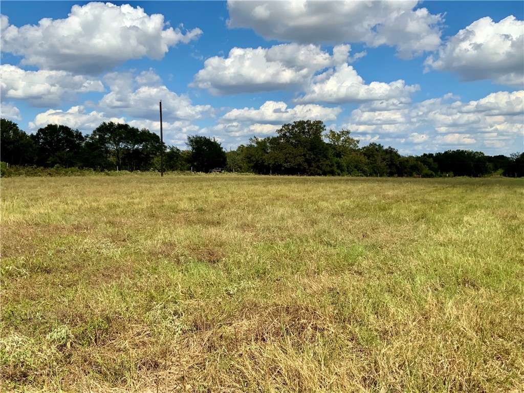 TBD Hwy 164, Groesbeck, Texas image 14