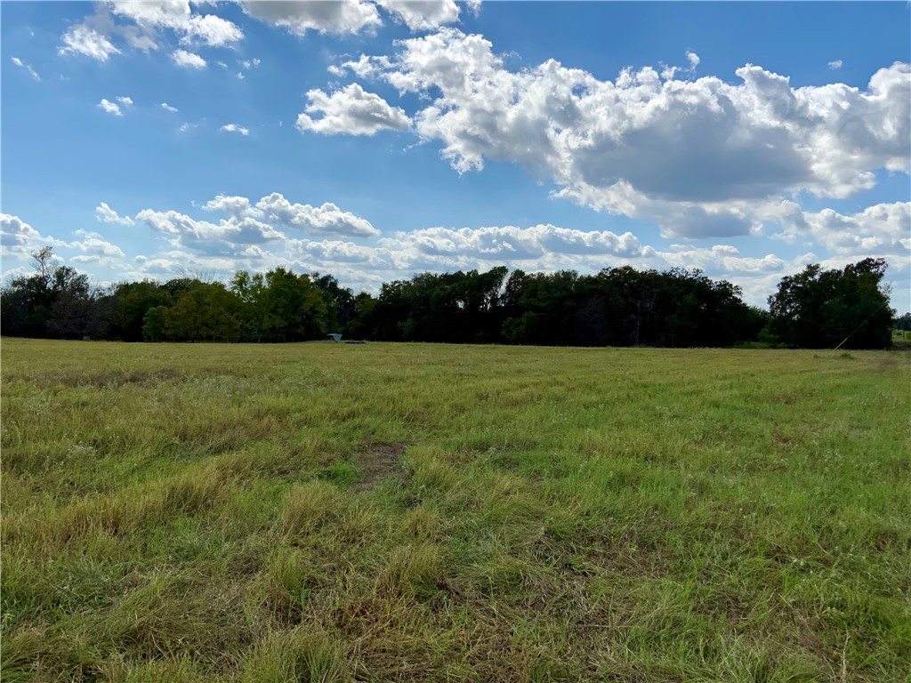 TBD Hwy 164, Groesbeck, Texas image 9