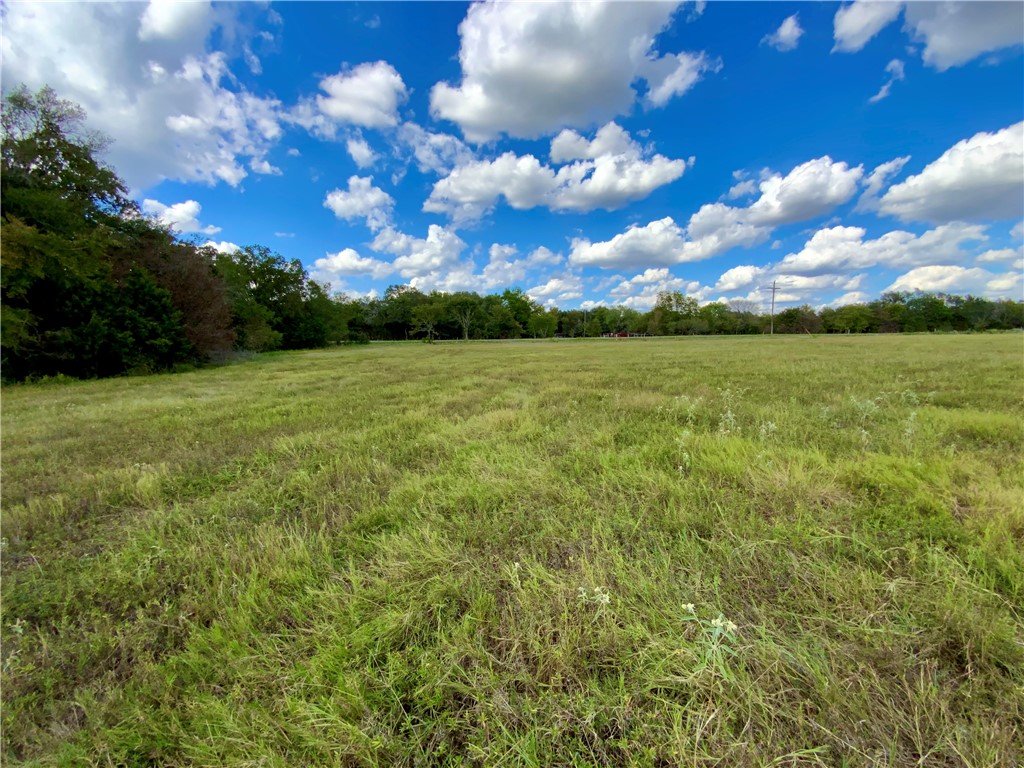 TBD Hwy 164, Groesbeck, Texas image 17