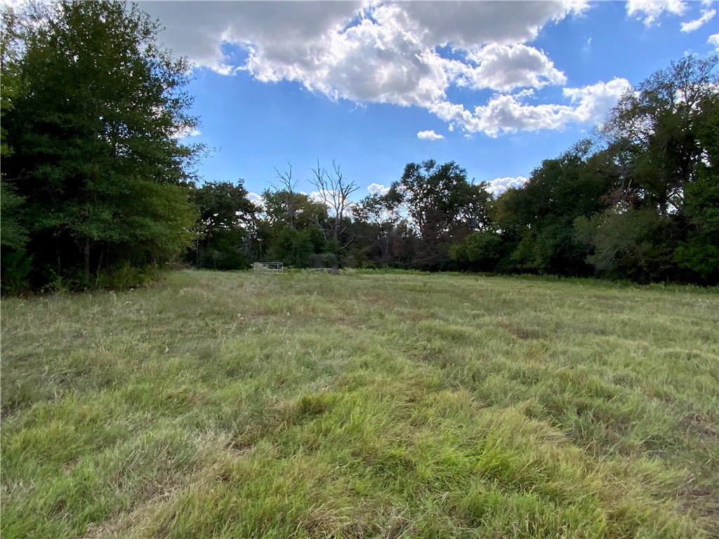 TBD Hwy 164, Groesbeck, Texas image 16