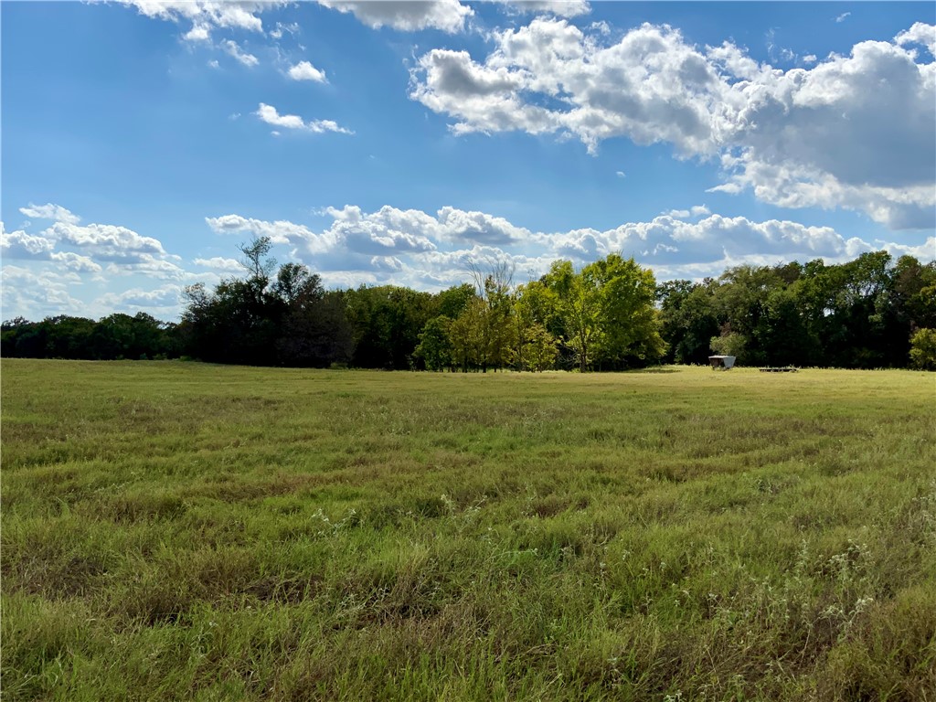 TBD Hwy 164, Groesbeck, Texas image 3