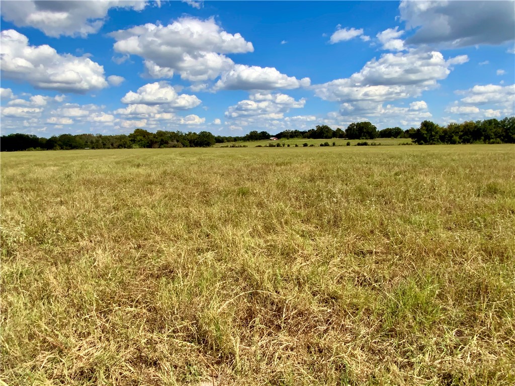 TBD Hwy 164, Groesbeck, Texas image 35