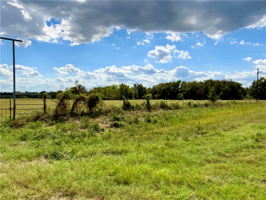 TBD Hwy 164, Groesbeck, Texas image 43