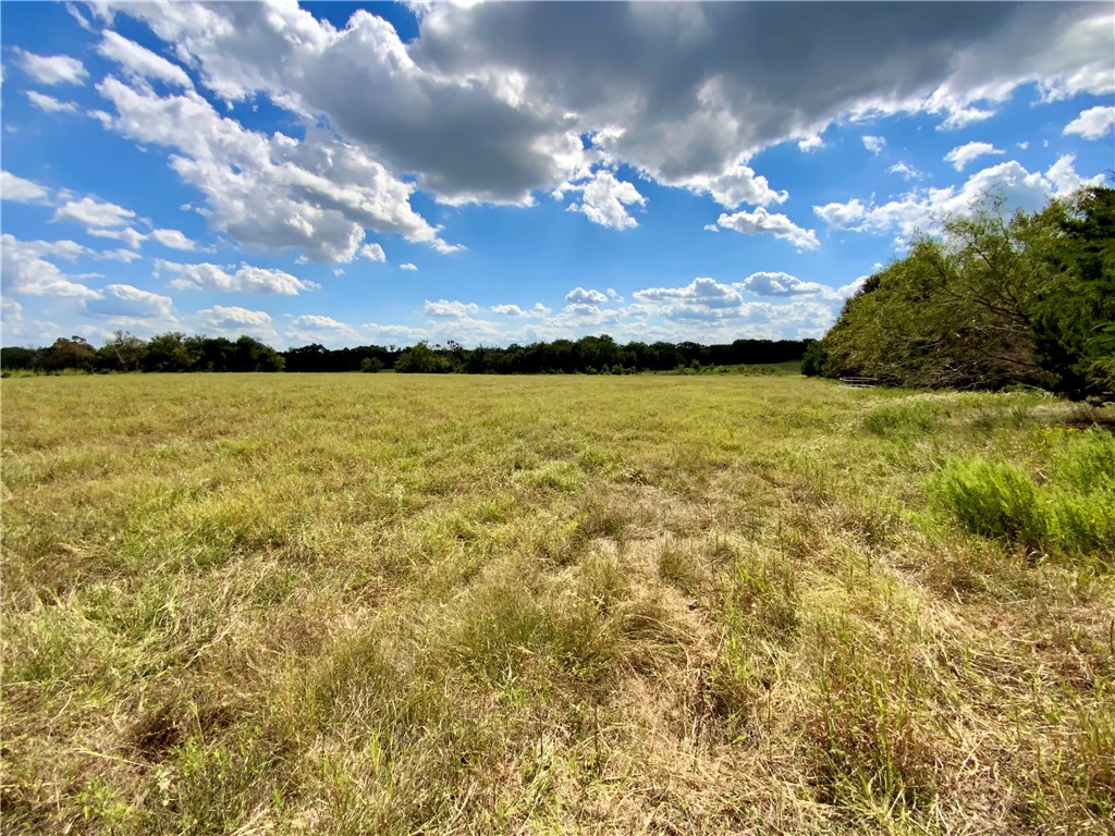 TBD Hwy 164, Groesbeck, Texas image 25