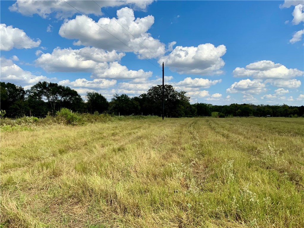 TBD Hwy 164, Groesbeck, Texas image 10