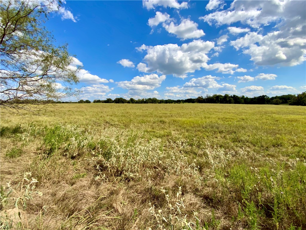 TBD Hwy 164, Groesbeck, Texas image 30