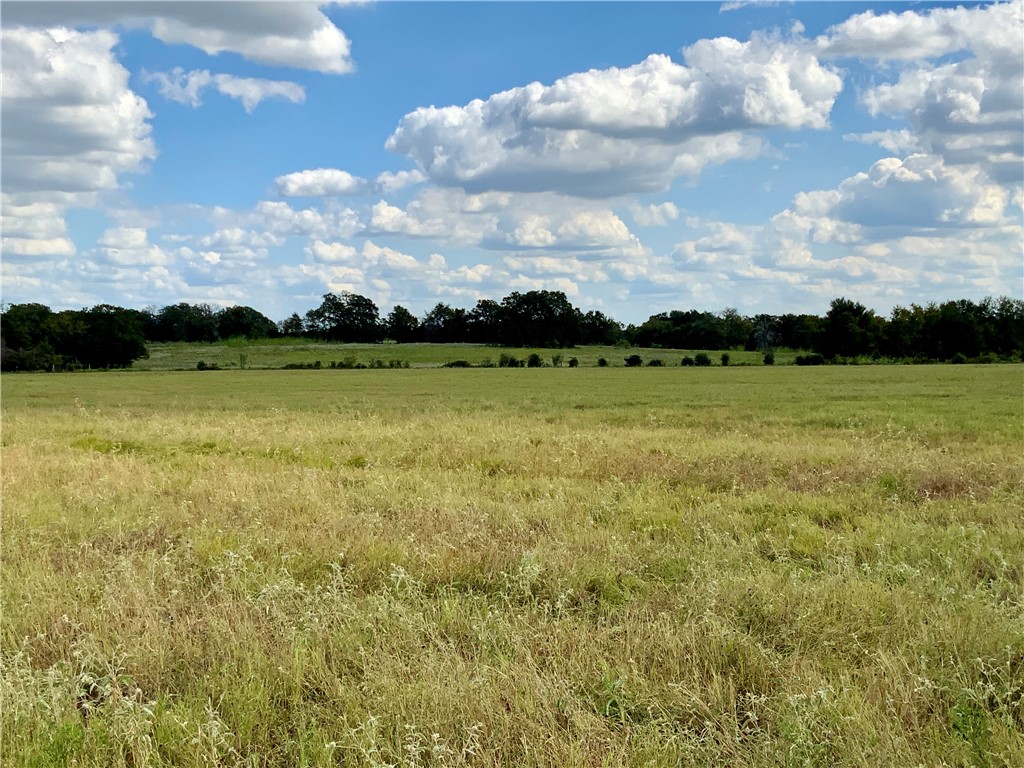 TBD Hwy 164, Groesbeck, Texas image 11