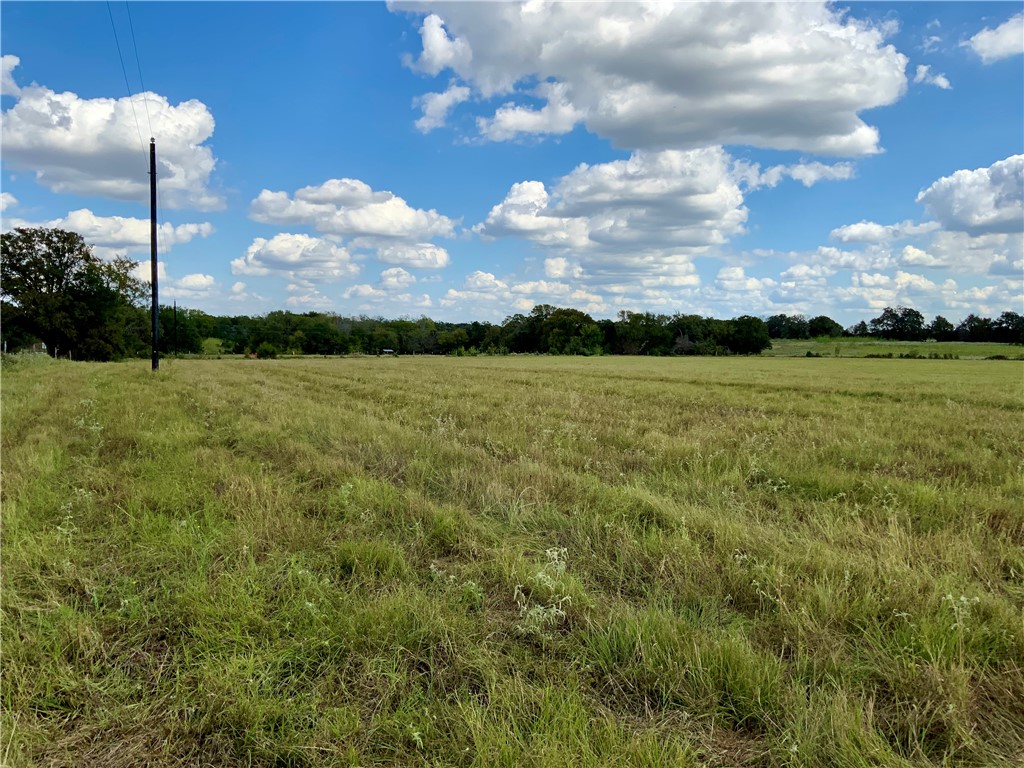 TBD Hwy 164, Groesbeck, Texas image 2