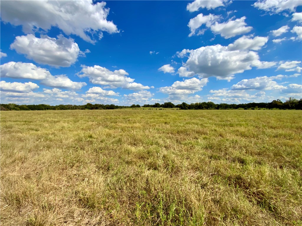 TBD Hwy 164, Groesbeck, Texas image 27