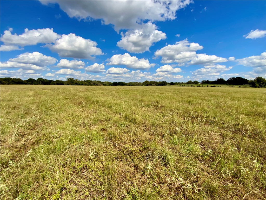 TBD Hwy 164, Groesbeck, Texas image 33