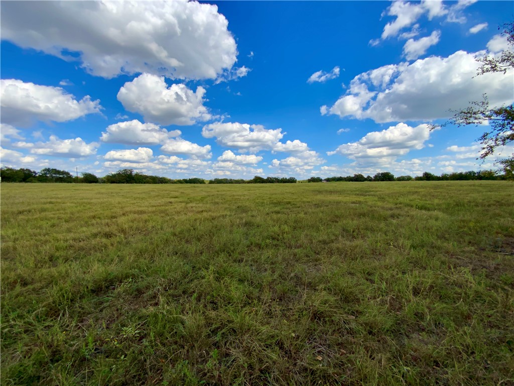 TBD Hwy 164, Groesbeck, Texas image 19