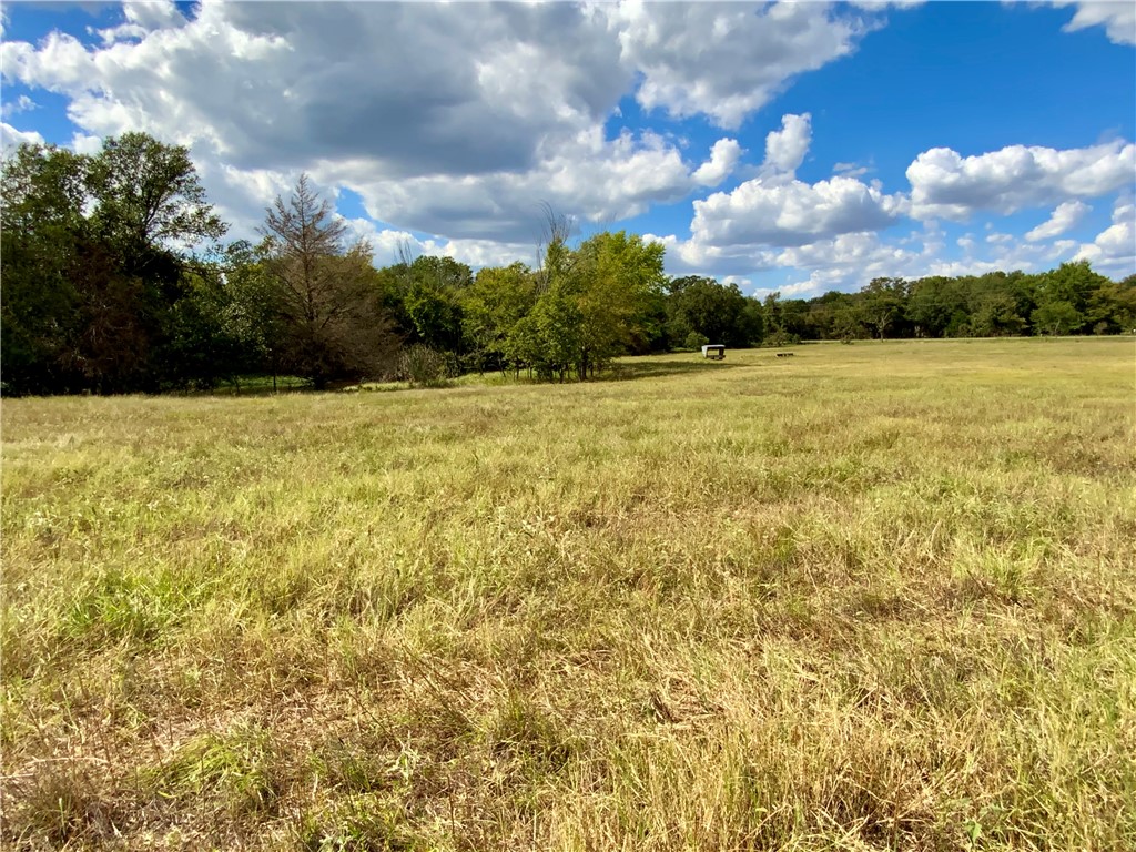 TBD Hwy 164, Groesbeck, Texas image 24