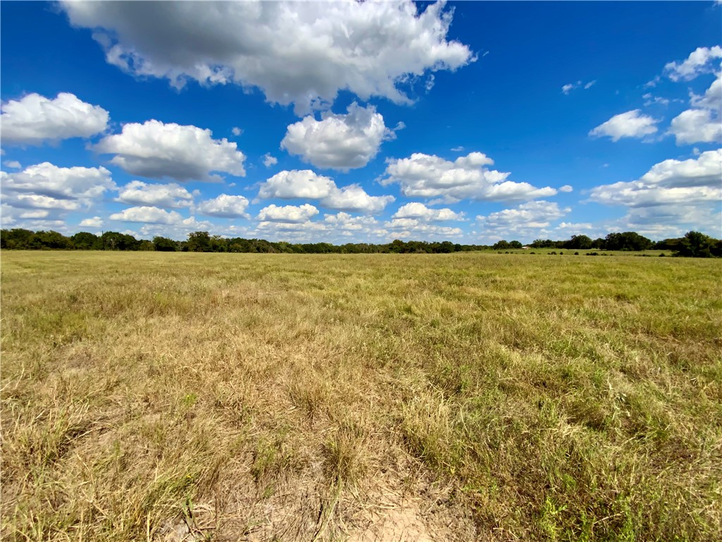 TBD Hwy 164, Groesbeck, Texas image 28