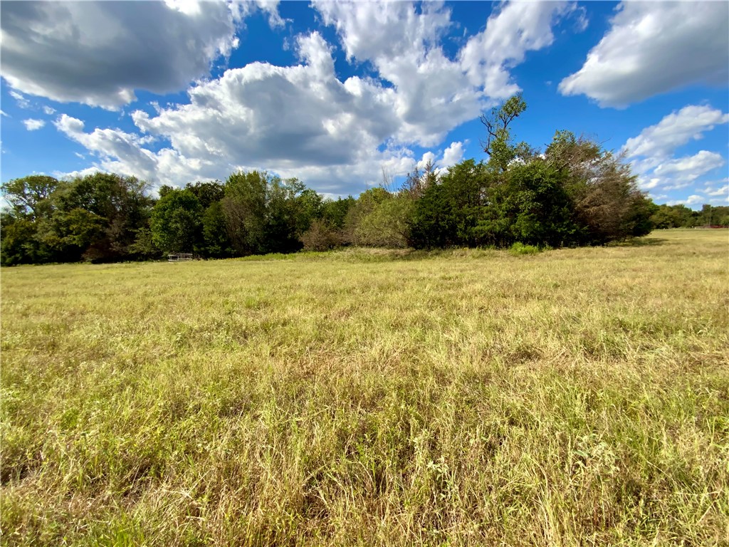 TBD Hwy 164, Groesbeck, Texas image 20