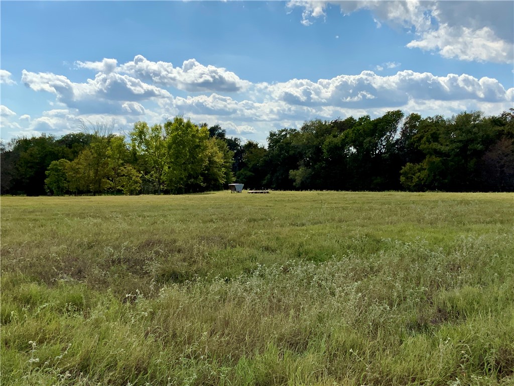 TBD Hwy 164, Groesbeck, Texas image 6