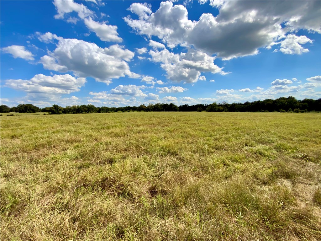 TBD Hwy 164, Groesbeck, Texas image 26