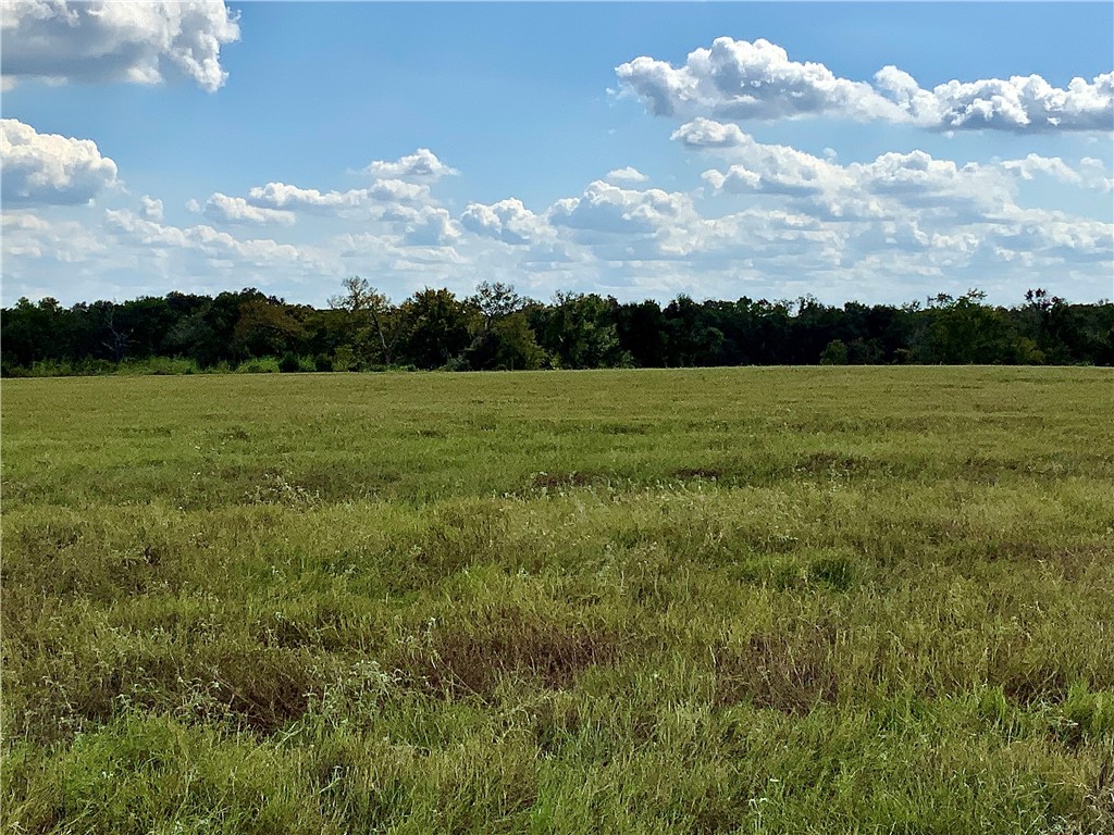 TBD Hwy 164, Groesbeck, Texas image 12