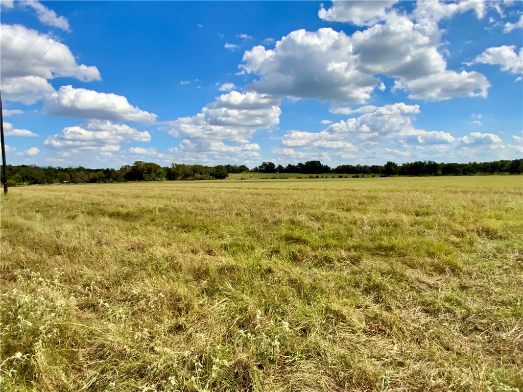 TBD Hwy 164, Groesbeck, Texas image 40