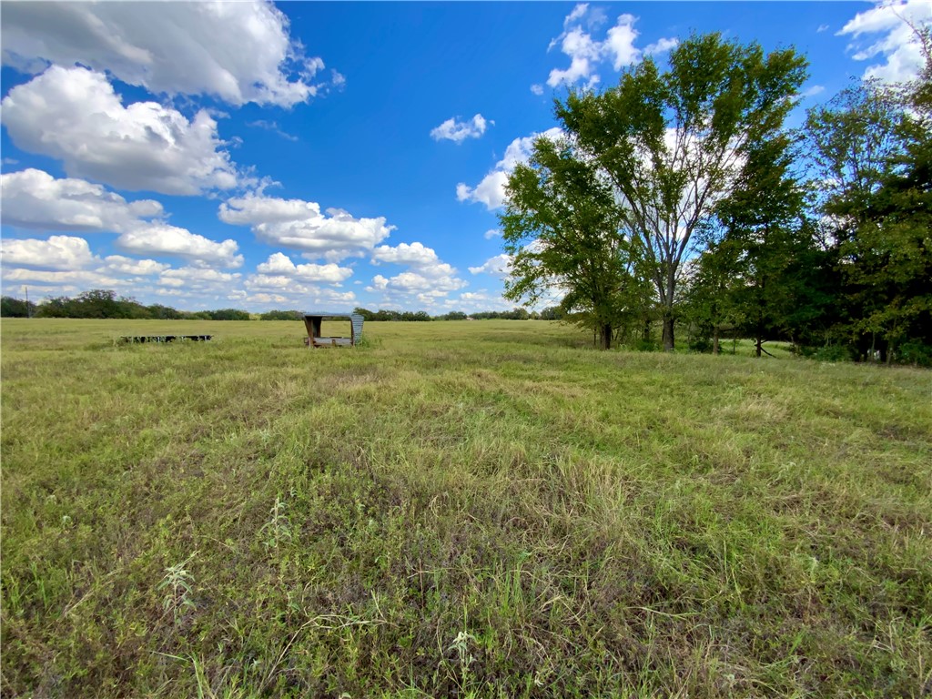 TBD Hwy 164, Groesbeck, Texas image 18