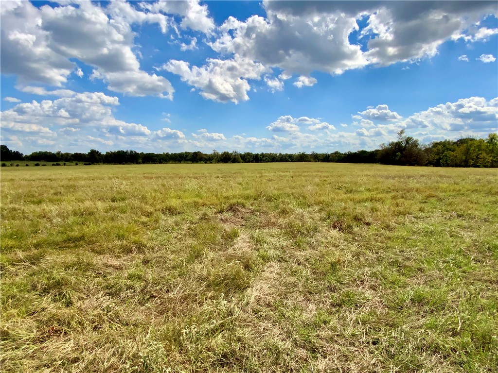 TBD Hwy 164, Groesbeck, Texas image 39