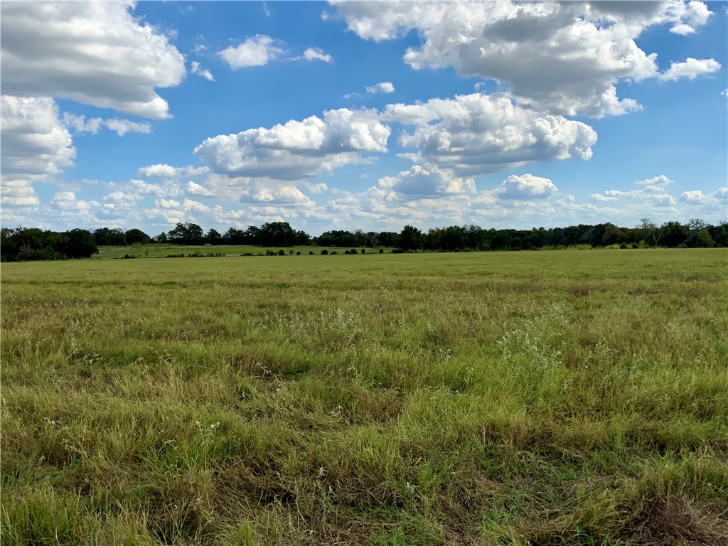 TBD Hwy 164, Groesbeck, Texas image 1