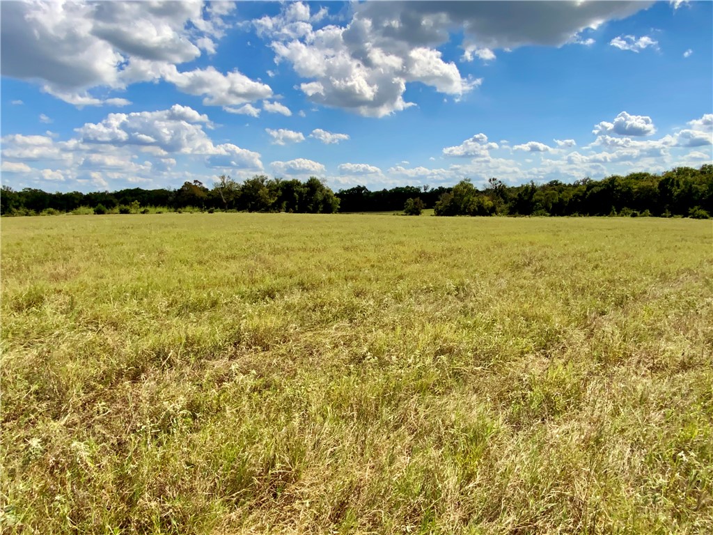 TBD Hwy 164, Groesbeck, Texas image 34