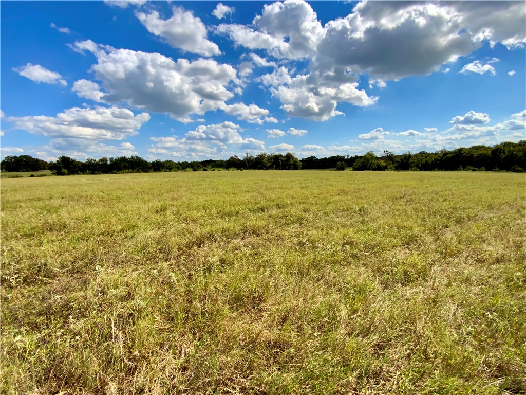 TBD Hwy 164, Groesbeck, Texas image 31