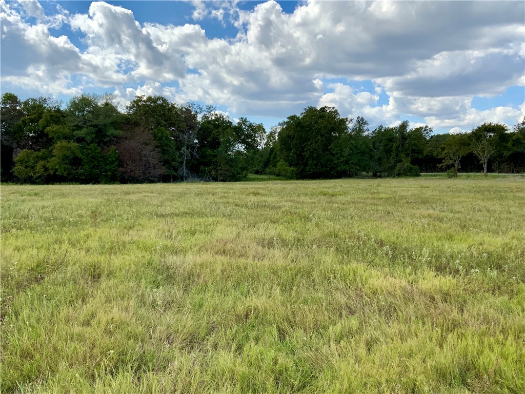 TBD Hwy 164, Groesbeck, Texas image 15