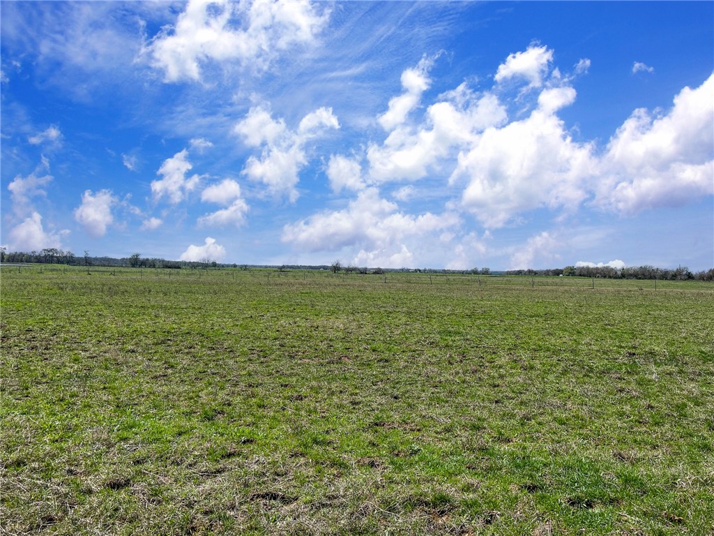 Tract 1 Fm 2745 Road, Kosse, Texas image 3