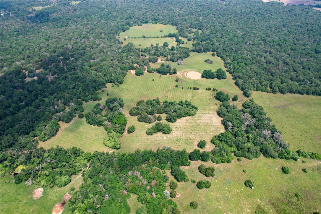 3823 Stidham Lane, Franklin, Texas image 1