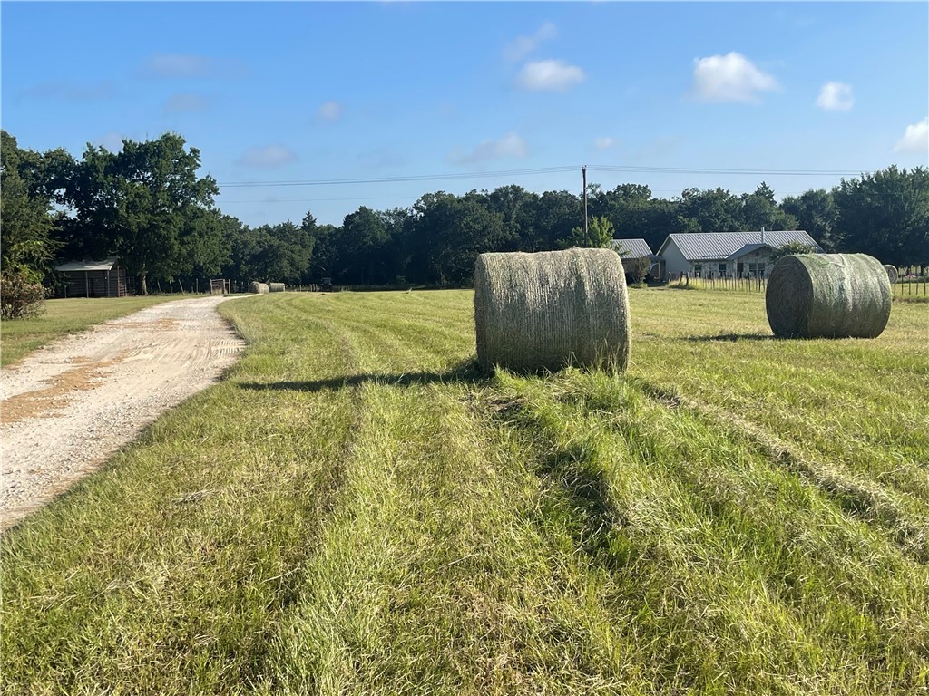 213 Northline Road, Teague, Texas image 4