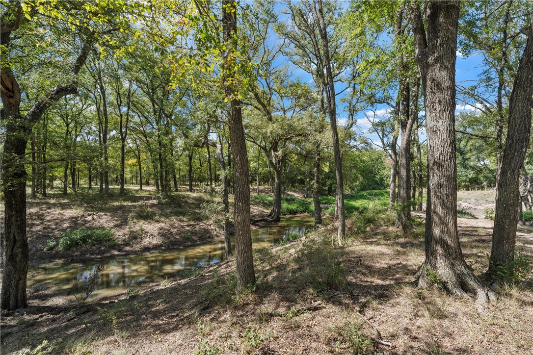 221 Pr 342 Road, Hubbard, Texas image 30