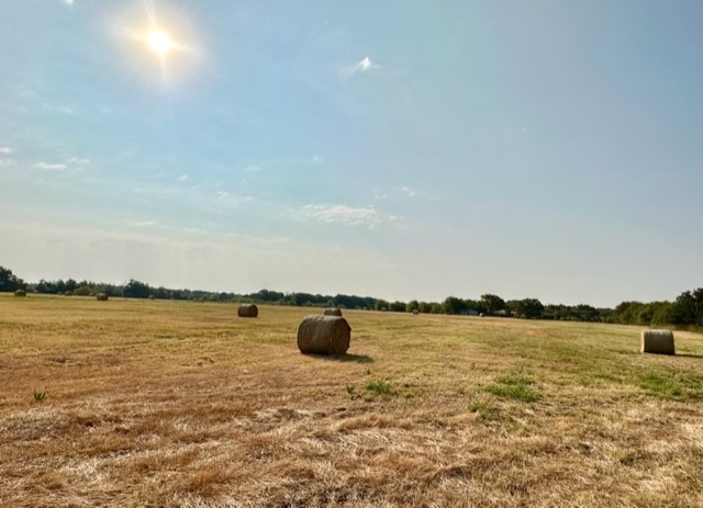 N/A Tours Road, Elm Mott, Texas image 15