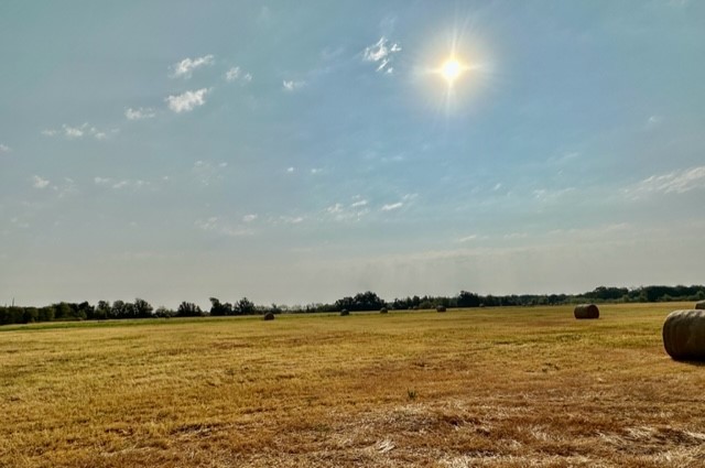 N/A Tours Road, Elm Mott, Texas image 17