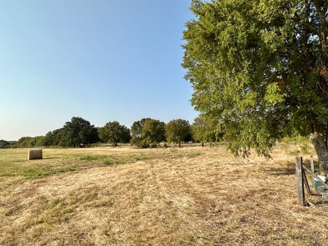 N/A Tours Road, Elm Mott, Texas image 16