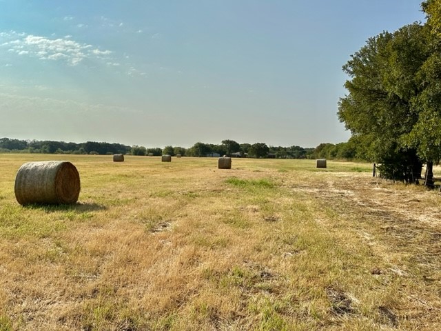 N/A Tours Road, Elm Mott, Texas image 12