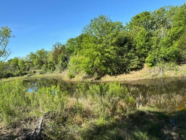 TBD Lcr 426 Road, Mexia, Texas image 4