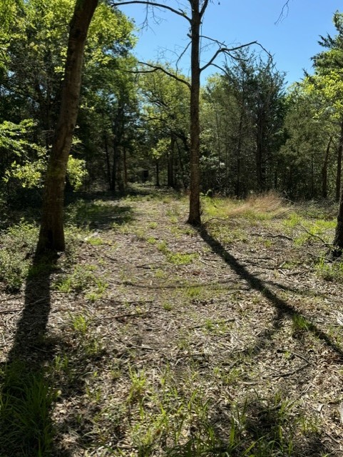 TBD Lcr 426 Road, Mexia, Texas image 9