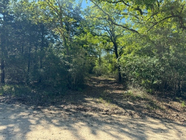 TBD Lcr 426 Road, Mexia, Texas image 12